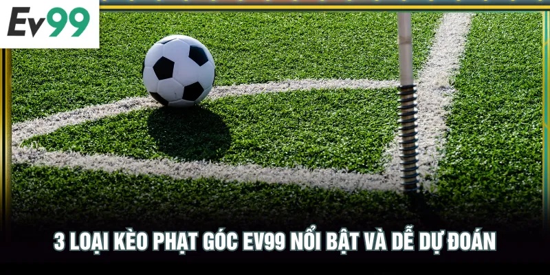 Kèo Phạt Góc EV99 | Trải Nghiệm Dự Đoán Bóng Đá Đa Dạng 3 loại kèo phạt góc EV99 nổi bật và dễ dự đoán