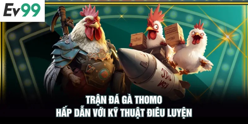 2 Cách Xem Đá Gà Thomo Uy Tín, Đặt Cược Đảm Bảo An Toàn Trận đá gà Thomo hấp dẫn với kỹ thuật điêu luyện